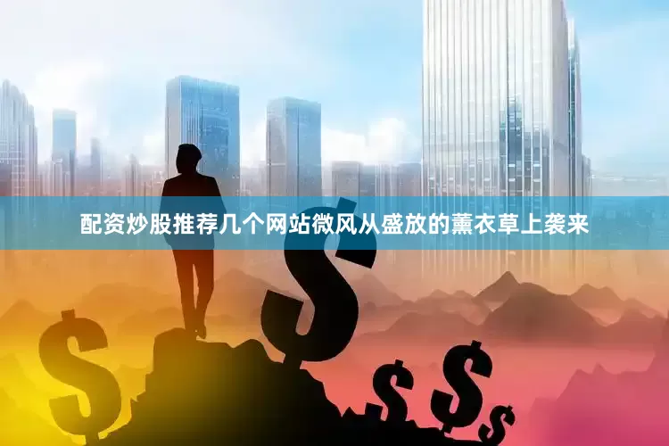配资炒股推荐几个网站微风从盛放的薰衣草上袭来